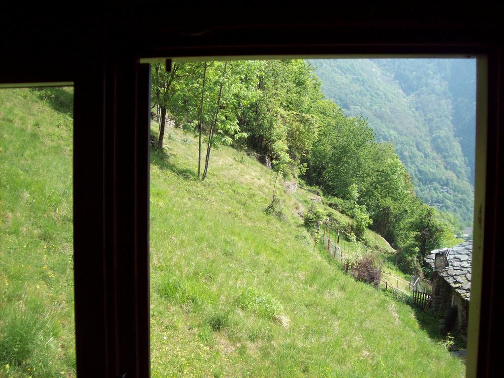 Appartamentino Nel Bosco Sondrio Exterior photo